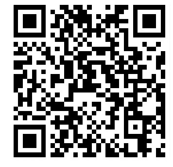 Payment QR Code